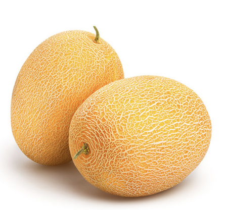 מלון | 1 קילו | נמכר ביחידות